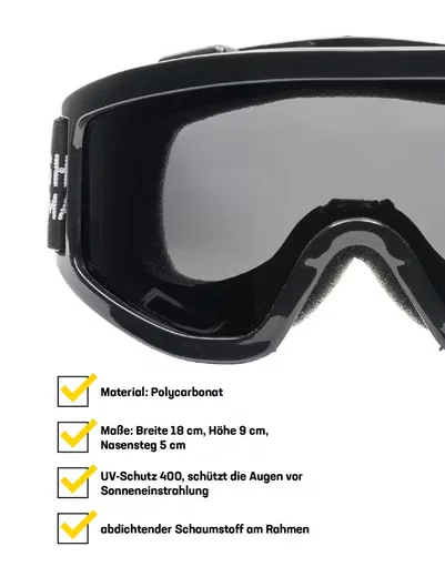 HIDETOSHI WAKASHIMA Skibrille Unisex Ski und Snowboardbrille